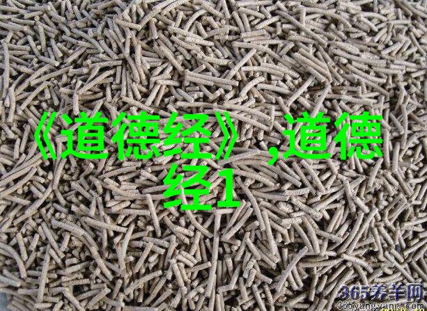 道教义理之学的特征与表现