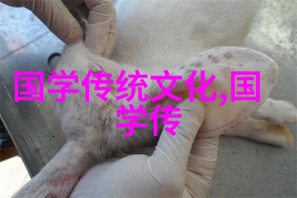 沈阳揽军屯大墓之下的清皇室风云