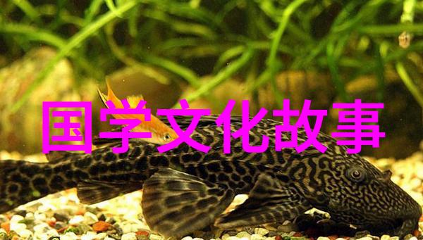 象牙筷子